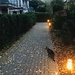 Gesie Piorko Jastrzębia Góra