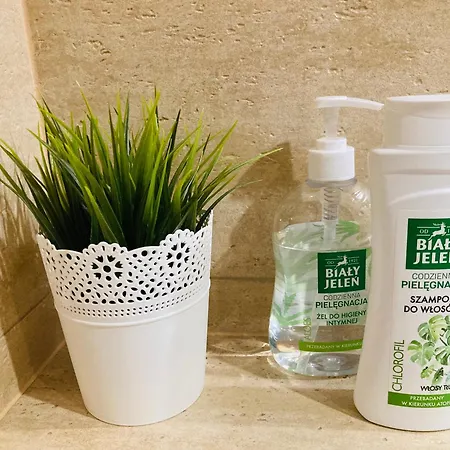 Gęsie Piórko Apartamento *