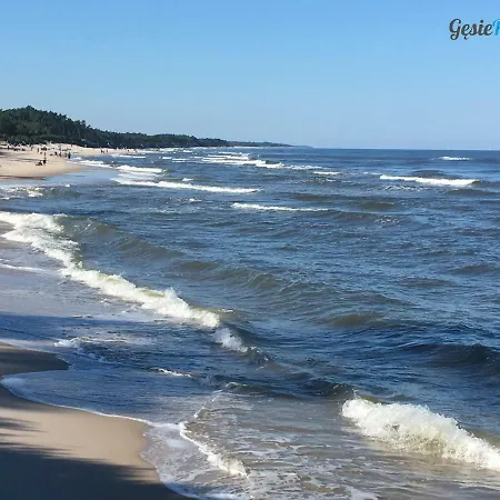 Gęsie Piórko Apartamento *