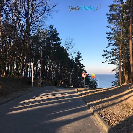 Apartman Gesie Piorko Jastrzębia Góra