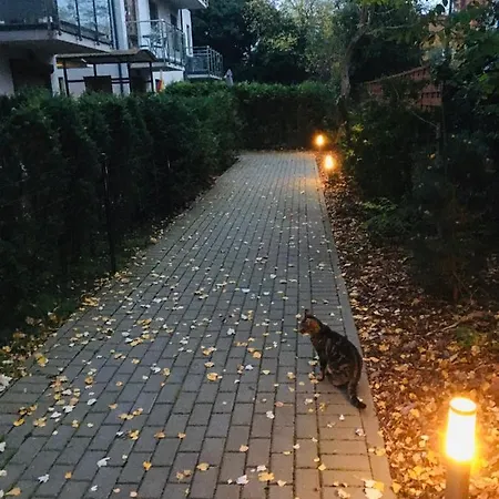 Gęsie Piórko Jastrzębia Góra