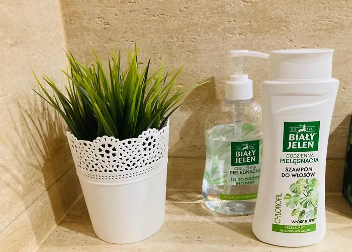 Gesie Piorko Апартаменты *