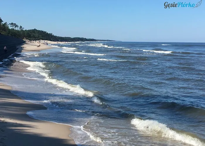 Gesie Piorko Апартаменты *