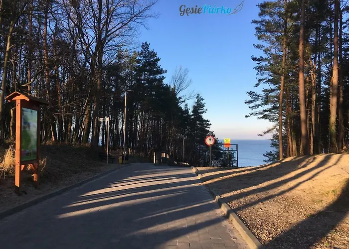 Апартаменты Gesie Piorko Ястшембя-Гура