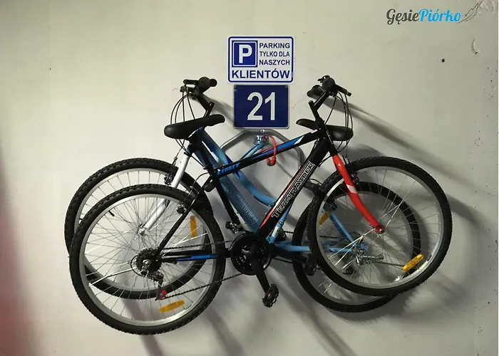 Апартаменты Gesie Piorko *