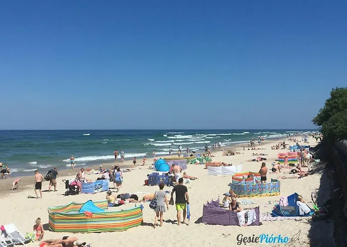 Gesie Piorko Апартаменты