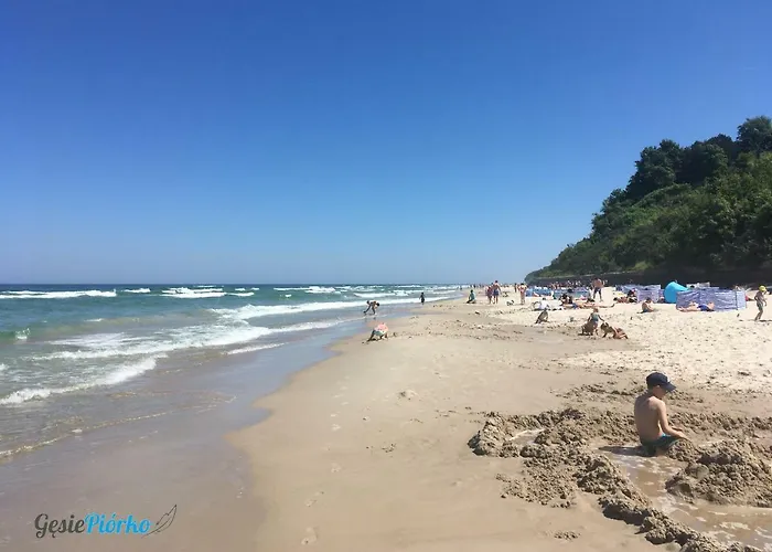 Gesie Piorko Апартаменты Ястшембя-Гура