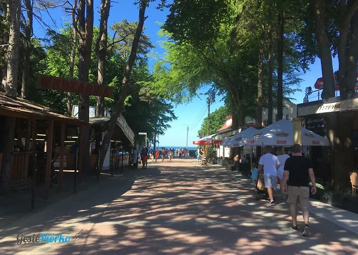 Апартаменты Gesie Piorko