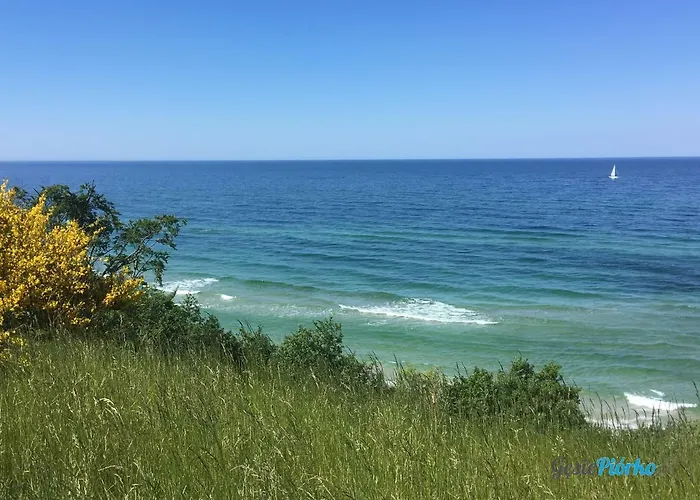 Gesie Piorko Ястшембя-Гура