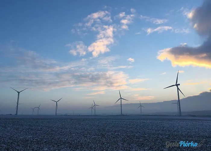 Gesie Piorko Апартаменты Ястшембя-Гура