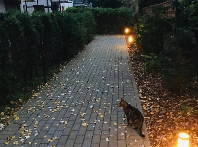 Gesie Piorko Ястшембя-Гура